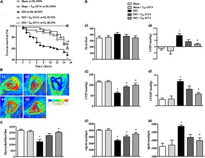 Quantitative Proteomics Reveal That Metabolic Improvement Contributes to the Cardioprotective Effect of T89 on Isoproterenol-Induced Cardiac Injury